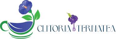 Clitoria Ternatea